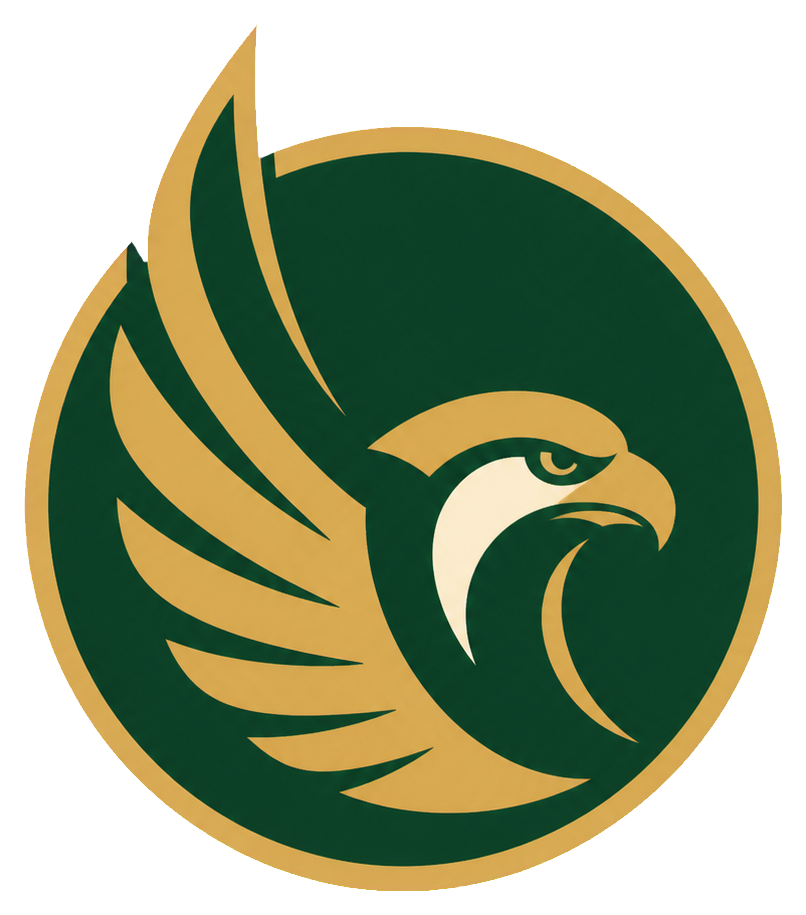 KASAAR Limited falcon logo